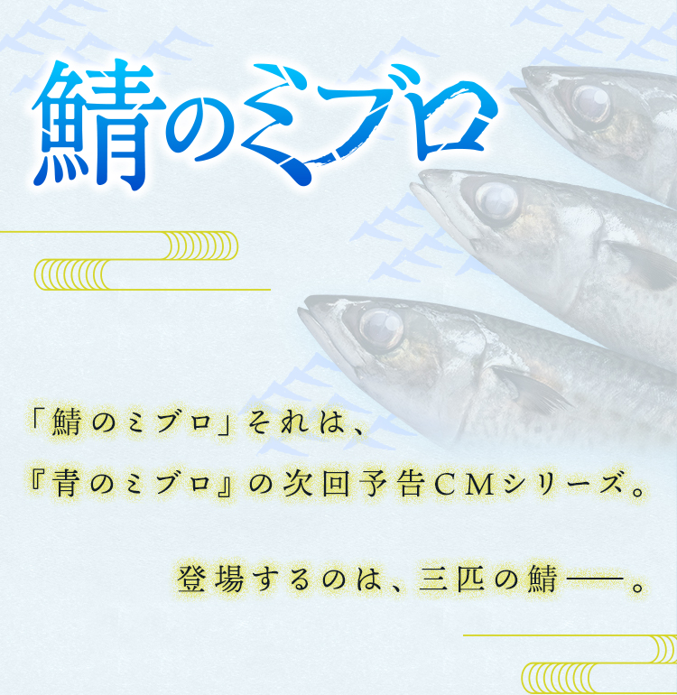【鯖のミブロ】　「鯖のミブロ」それは、『青のミブロ』の次回予告CMシリーズ。登場するのは、三匹の鯖――。